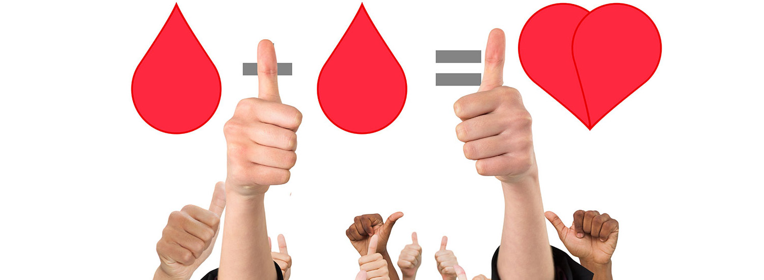 Αίμα Ζωής - Διοργάνωση 2ης Αιμοδοσίας